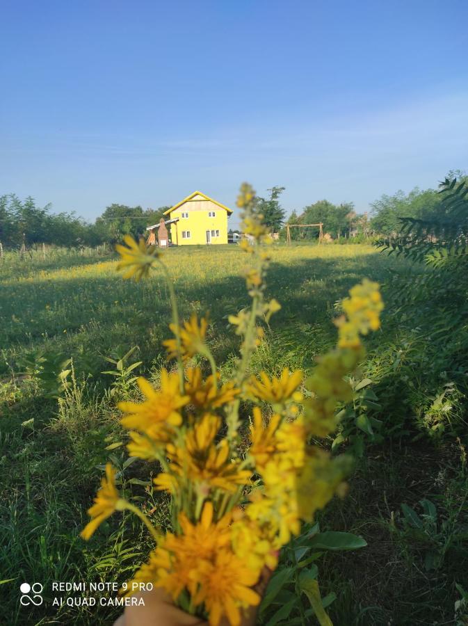 Apartamento Mirella33 Palić Exterior foto